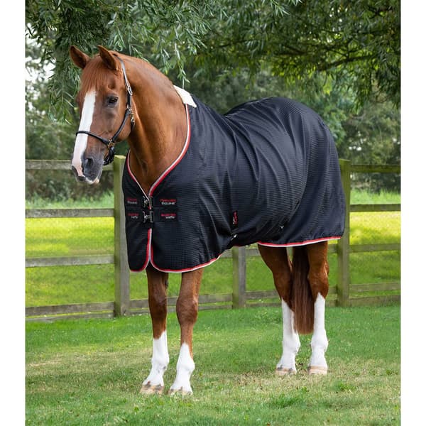 Premier Equine Buster Waffle Cooler Tæppe 198 cm
