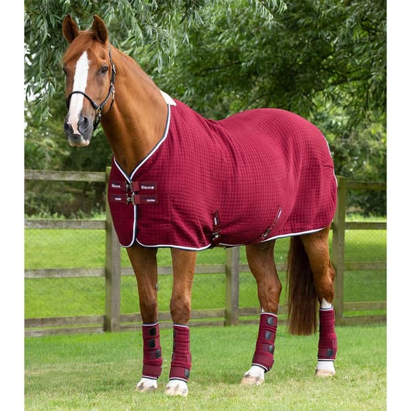 Premier Equine Premtex Cooler Matta 168 cm