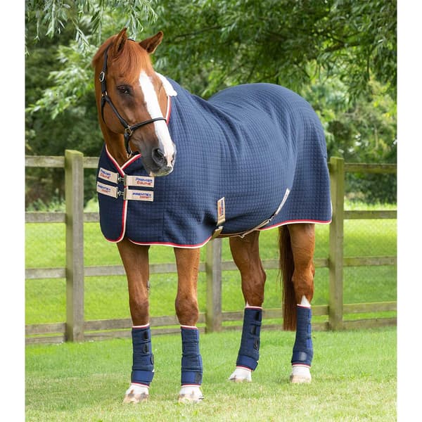 Premier Equine Premtex Cooler Tæppe  152 cm
