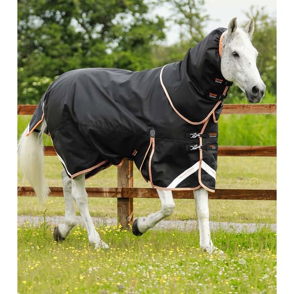 Premier Equine Titan 300g With Snug-fit Neck Cover Dækken 175 cm - S Neck