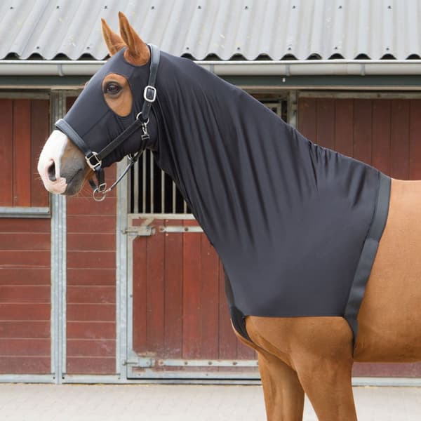 Harry´s Horse Elastinen Rintapanssari Hupulla  XL
