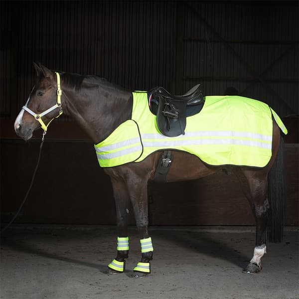 Harry´s Horse Reflective Træningsmåtte  M
