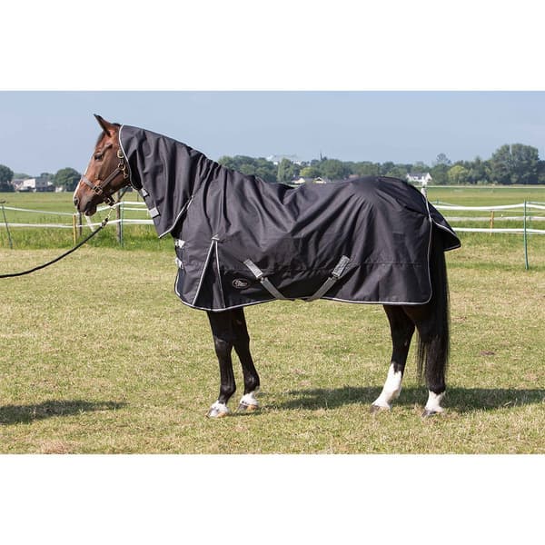 Harry´s Horse Thor Combo 0g Loimi  185 cm