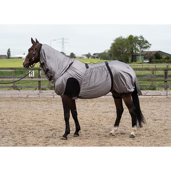 Harry´s Horse Uv Lentävä Matto 165 cm