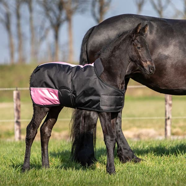 Harry´s Horse Veulendeken Twotone 200g Varsamatto  65 cm