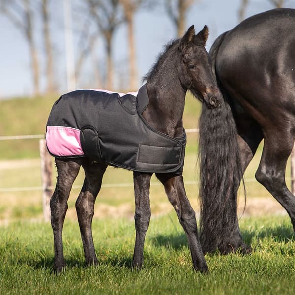 Harry´s Horse Veulendeken Twotone 200g Varsamatto  65 cm