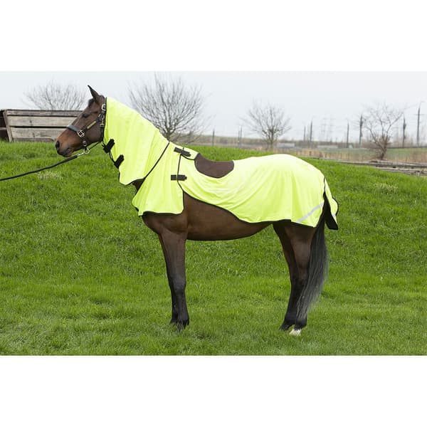 Harry´s Horse Mesh Pro Riding Lentävä Matto  XL