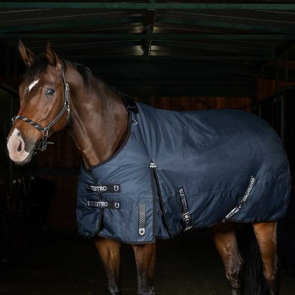 Equestro Alberta Loimi  155 cm