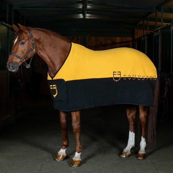 Equestro Munster Villamatto  165 cm