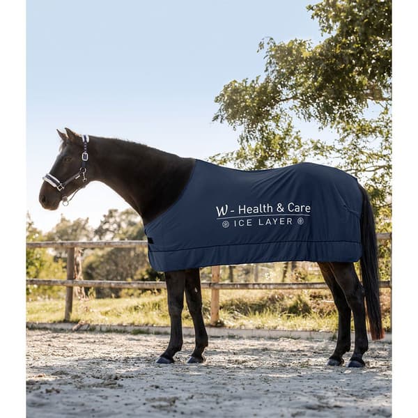 Waldhausen Matta W-health&care Ice Layer Blå 165 cm