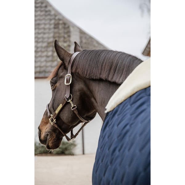 Kentucky Vakaa Matto Comfort 300g  140 cm