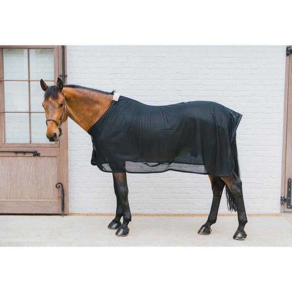 Kentucky Verkkohyönteissuoja  145 cm
