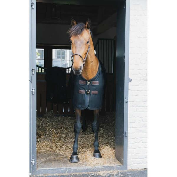 Kentucky Net Myggenet  160 cm