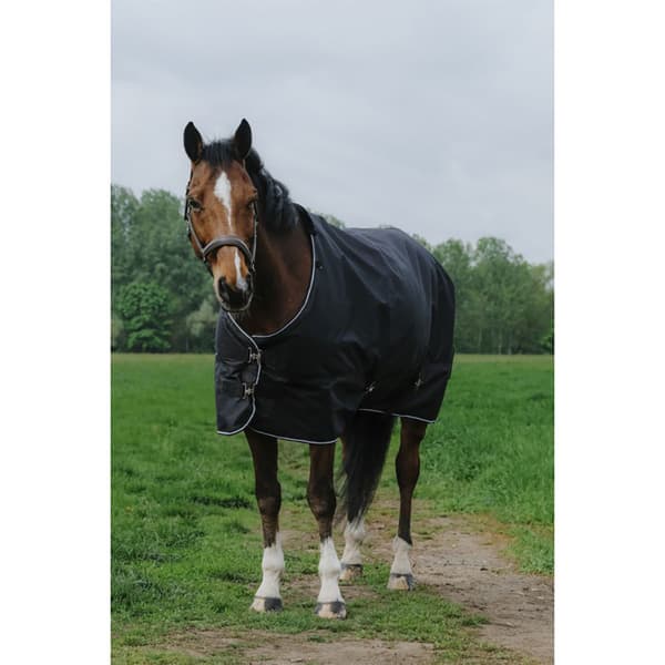 Equitheme Standard Valdeltagande Matta 600d 0g  6´0´´