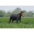Miniatyrbild 1 av 3: Equitheme Standard Valdeltagande Matta 600d 0g  6´0´´