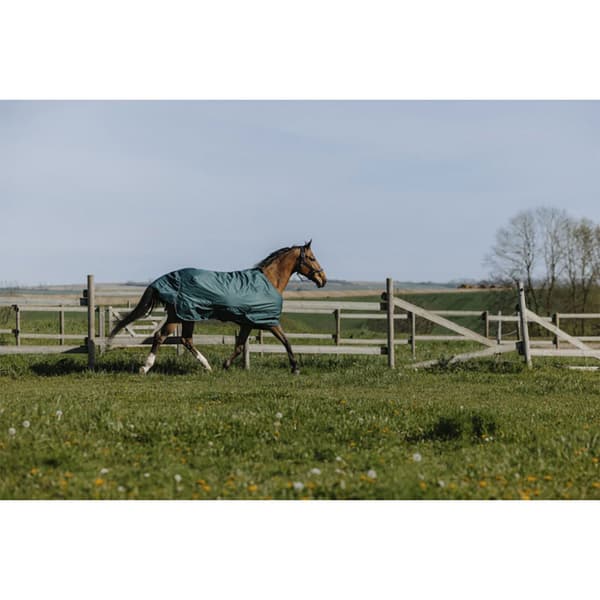 Equitheme Vakio Äänestysmäärä Matto 600d 300g 7´0´´