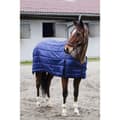 Miniatyrbillede 1 af 4: Equitheme Underformular Classic 100g  6´6´´