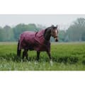 Miniatyrbillede 1 af 4: Equitheme Standard Stemmetæppe 1200d 0g  6´0´´