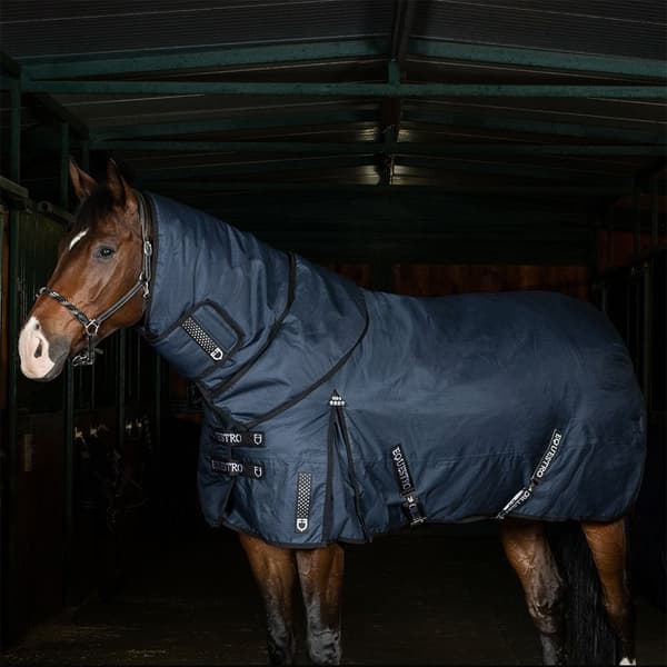 Equestro Alberta Kaulansuojus  L