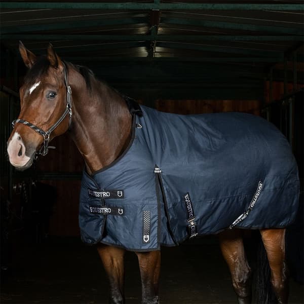 Equestro Alberta Loimi Sininen 115 cm