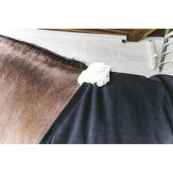 Kentucky Classic 300g Stabilt Tæppe  165 cm
