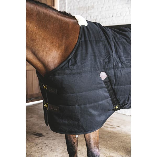 Kentucky Classic 300g Stabilt Tæppe  165 cm