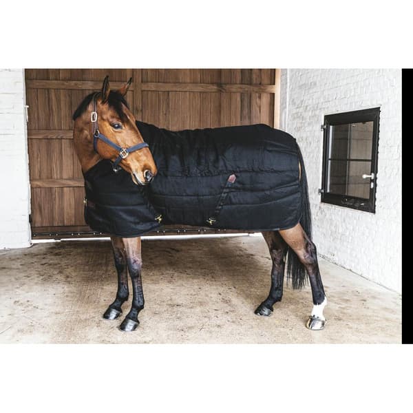 Kentucky Classic 300g Stabilt Tæppe  165 cm
