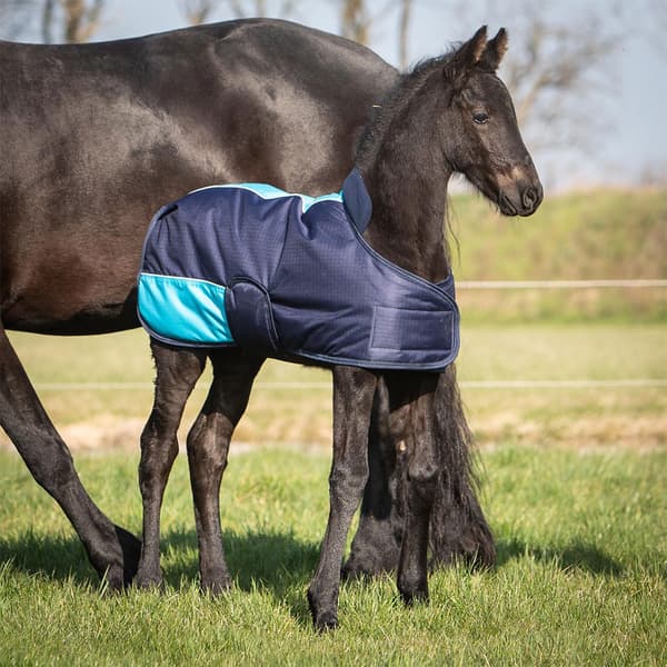 Harry´s Horse Veulendeken Twotone 200g Følletæppe  65 cm