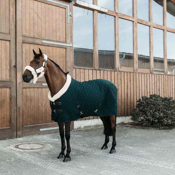 Kentucky Udstillingsgulvtæppe 160gr  130 cm