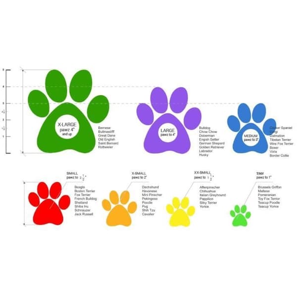 Hundskor - PAWZ - Tiny - Limegrön - Vattentät - Biologiskt nedbrytbar