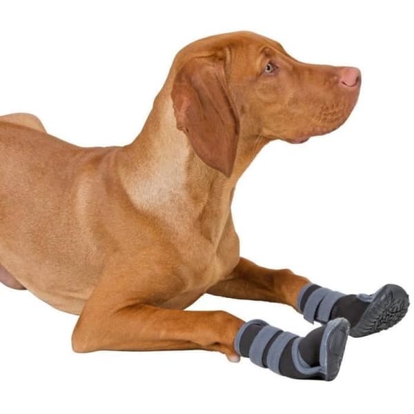 Skyddsben för hund - Kerbl - Aktiv - One size - Andningsgummi - Halvhäftande
