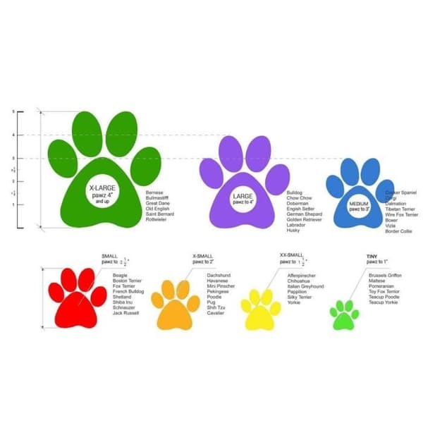 Hundskor - Pawz - Små Storlekar - Naturlig Gummi - 100% Nedbrytbara - Utan Foder