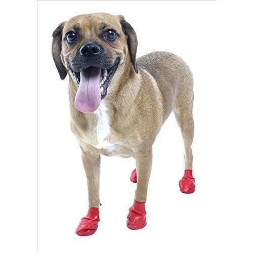 Hundskor - Pawz - Små Storlekar - Naturlig Gummi - 100% Nedbrytbara - Utan Foder