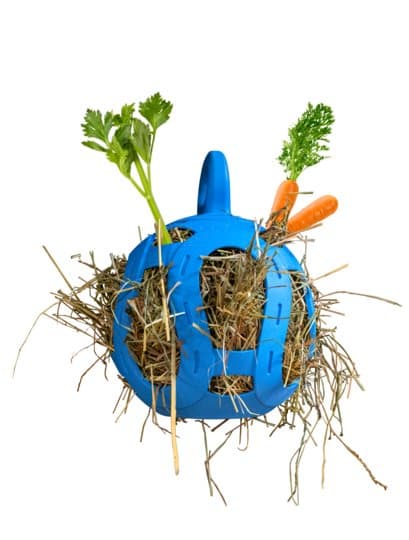 Jolly Hay Ball 20 cm - Interaktiv godbidsbold til heste