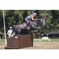 Miniatyrbillede 6 af 6: Equine Fusion Over Reach Støvler Active Jogging Slim Sort 11