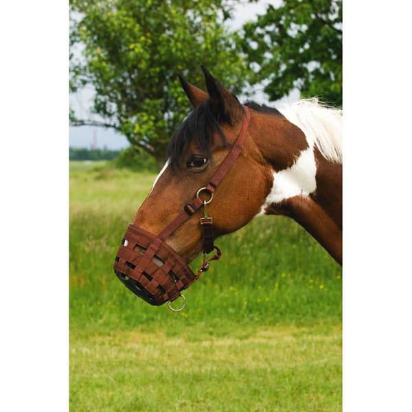 Ekkia Hevosen Kuono Nylon Vihreä Pony