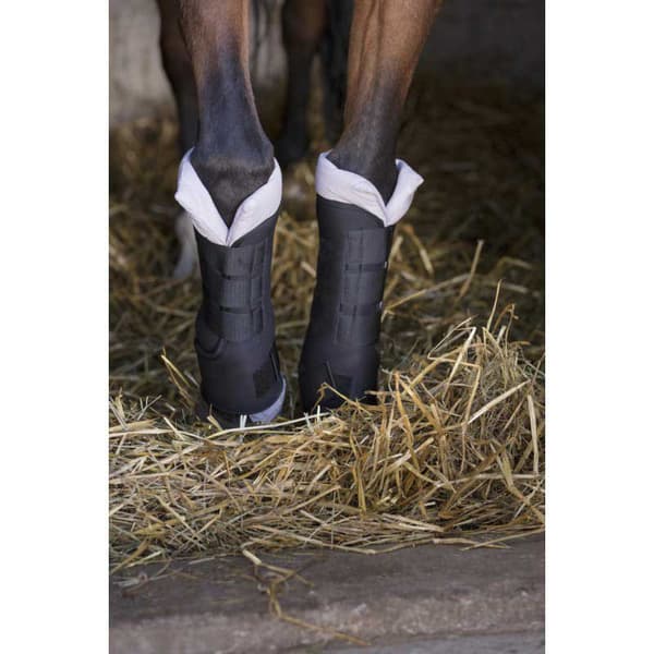Norton Equestrian Rest Senestøvler 4 Enheder Sort S