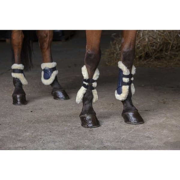 Norton Equestrian Senestøvler Xtr Syntethic Blå Full