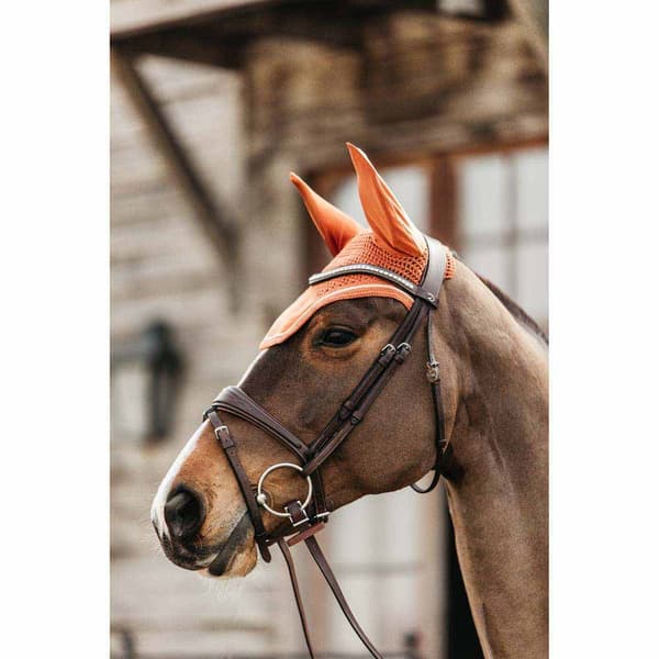 Kentucky Flygväg Wellington Velvet Brun Pony