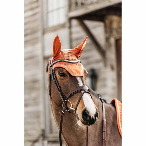 Kentucky Flygväg Wellington Velvet Brun Pony