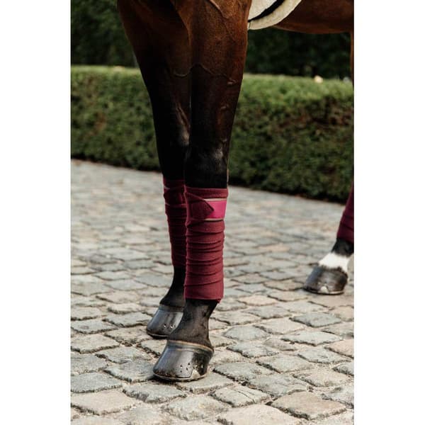 Kentucky Fleece Siteet Polar