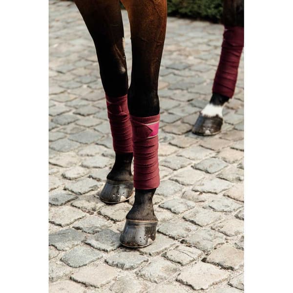 Kentucky Fleece Siteet Polar