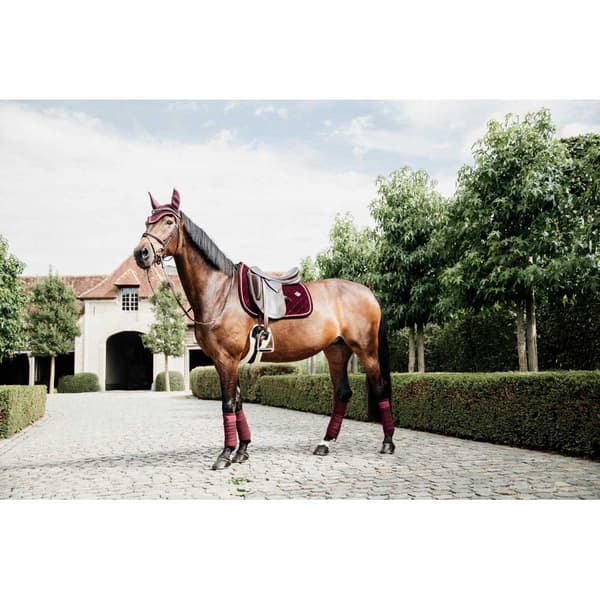 Kentucky Fleece Siteet Polar
