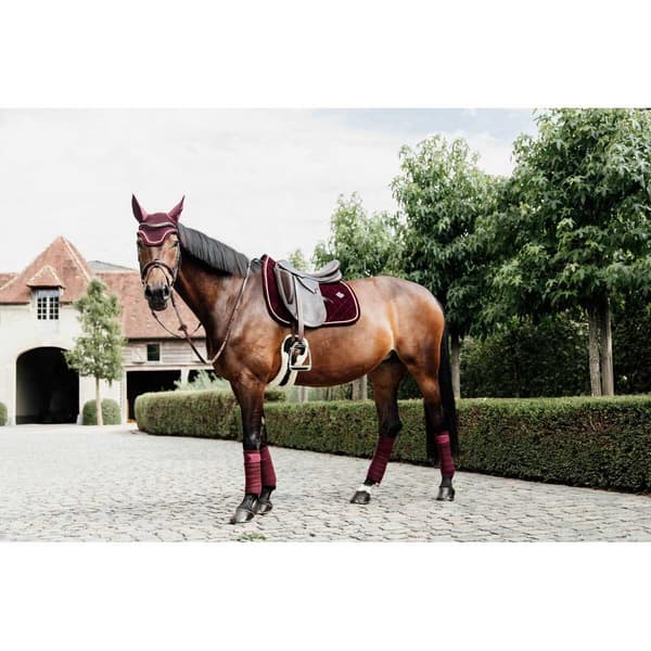 Kentucky Fleece Siteet Polar