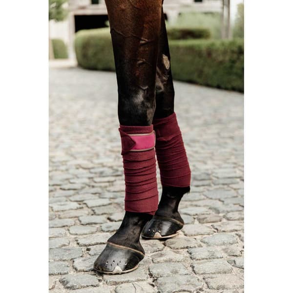 Kentucky Fleece Siteet Polar