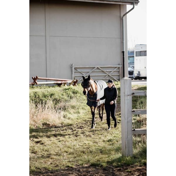 Kentucky Fly Mask Slim Fit Guld Cob