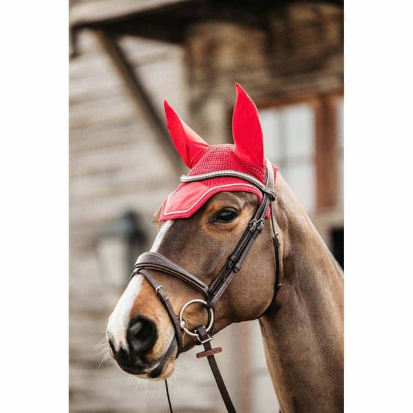 Kentucky Flygväg Wellington Velvet Röd Cob