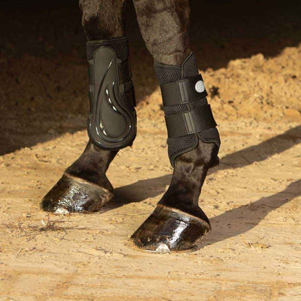 Harry´s Horse Air Mesh Jännekiinnikkeet  L