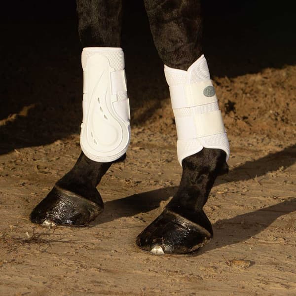 Harry´s Horse Air Mesh Jännekiinnikkeet  L