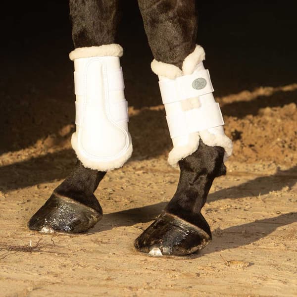 Harry´s Horse Flextrainer Skyddsskor  L